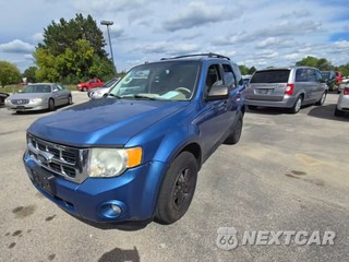 2009 Ford Escape XLT