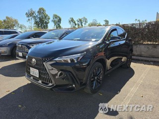 2024 Lexus NX 450h+ Luxury