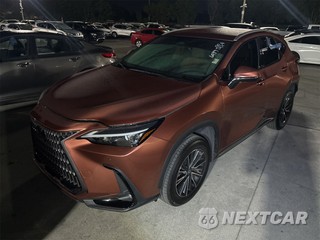 2025 Lexus NX 250