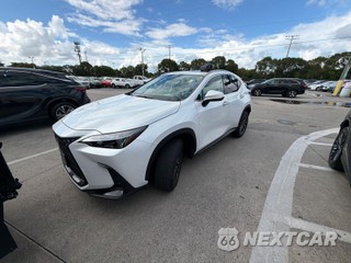 2024 Lexus NX 250 Premium
