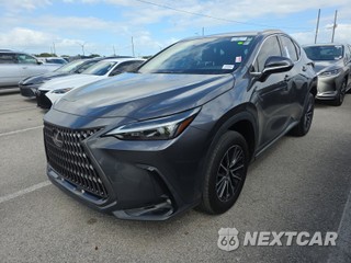 2024 Lexus NX 250