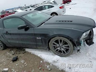 Zdjęcie 11 z 14 samochodu: 2014 FORD MUSTANG GT VIN:1ZVBP8CF2E5306031 - miniatura