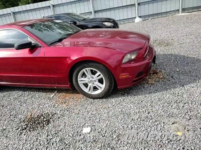 Zdjęcie 13 z 13 samochodu: 2014 FORD MUSTANG VIN:1ZVBP8AM8E5269584 - miniatura