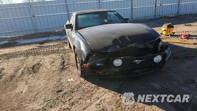 Zdjęcie 13 z 13 samochodu: 2005 FORD MUSTANG GT VIN:1ZVHT85H455226315 - miniatura