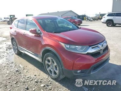 Zdjęcie 14 z 16 samochodu: 2019 HONDA CR-V EX VIN:2HKRW2H51KH629757 - miniatura