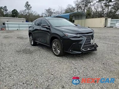 Zdjęcie 14 z 14 samochodu: 2026 LEXUS NX 350 LUXURY VIN:2T2HGCEZ7TC101422 - miniatura