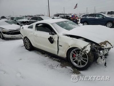 Zdjęcie 13 z 13 samochodu: 2011 FORD MUSTANG GT VIN:1ZVBP8CF8B5147544 - miniatura