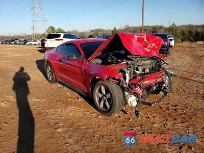 Zdjęcie 13 z 13 samochodu: 2015 FORD MUSTANG VIN:1FA6P8TH8F5360933 - miniatura