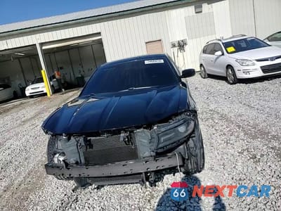 Zdjęcie 14 z 14 samochodu: 2016 DODGE CHARGER SE VIN:2C3CDXBG0GH223167 - miniatura