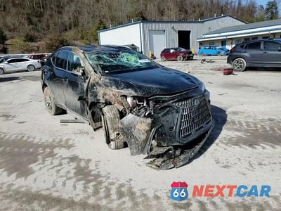 Zdjęcie 14 z 14 samochodu: 2025 LEXUS NX VIN:2T2AGCEZ0SC090005 - miniatura