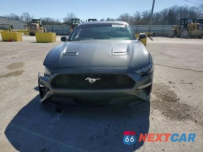 Zdjęcie 13 z 13 samochodu: 2019 FORD MUSTANG VIN:1FA6P8TH7K5187304 - miniatura