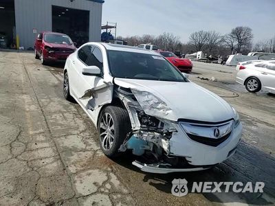 Zdjęcie 13 z 14 samochodu: 2015 ACURA TLX TECH VIN:19UUB1F52FA017083 - miniatura