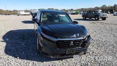 Zdjęcie 14 z 14 samochodu: 2024 HONDA CR-V EXL VIN:2HKRS3H71RH324823 - miniatura