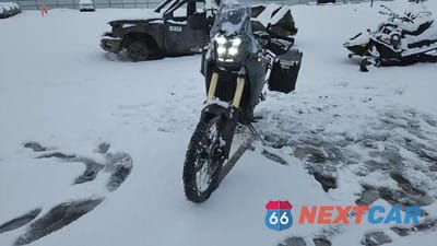 Zdjęcie 10 z 10 samochodu: 2024 YAMAHA XTZ690 VIN:JYADM12Y8RA008641 - miniatura