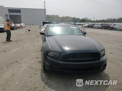 Zdjęcie 11 z 14 samochodu: 2014 FORD MUSTANG VIN:1ZVBP8AM9E5218451 - miniatura
