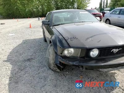 Zdjęcie 14 z 15 samochodu: 2005 FORD MUSTANG GT VIN:1ZVFT82H355101074 - miniatura