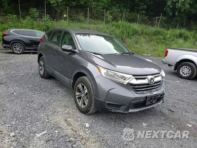 Zdjęcie 14 z 16 samochodu: 2017 HONDA CR-V LX VIN:2HKRW6H37HH217194 - miniatura