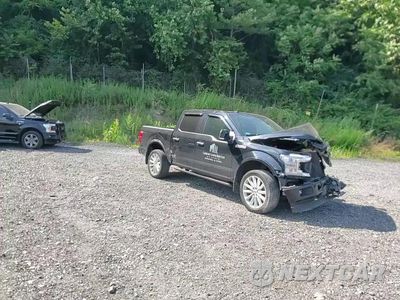 Zdjęcie 13 z 13 samochodu: 2018 FORD F150 SUPERCREW VIN:1FTEW1EG4JFB89895 - miniatura