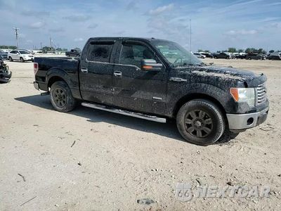 Zdjęcie 13 z 13 samochodu: 2012 FORD F150 SUPERCREW VIN:1FTFW1CT6CFA12269 - miniatura
