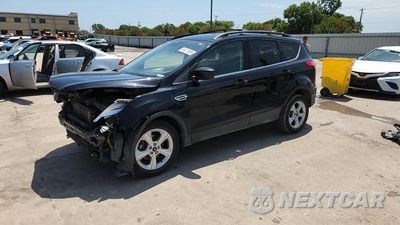 Zdjęcie 15 z 16 samochodu: 2016 FORD ESCAPE SE VIN:1FMCU0GX6GUA24676 - miniatura