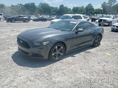 Zdjęcie 13 z 14 samochodu: 2015 FORD MUSTANG VIN:1FA6P8AM7F5357389 - miniatura