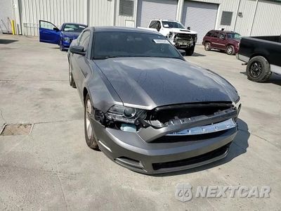 Zdjęcie 13 z 14 samochodu: 2014 FORD MUSTANG VIN:1ZVBP8AMXE5317036 - miniatura