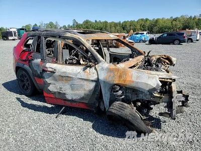 Zdjęcie 13 z 13 samochodu: 2019 JEEP CHEROKEE TRAILHAWK VIN:1C4PJMBN2KD244594 - miniatura