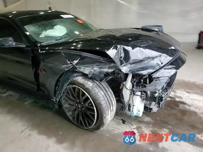 Zdjęcie 13 z 13 samochodu: 2019 FORD MUSTANG GT VIN:1FA6P8CF1K5129980 - miniatura