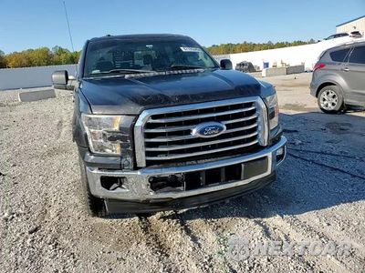 Zdjęcie 13 z 15 samochodu: 2017 FORD F150 SUPERCREW VIN:1FTEW1CG2HKE08633 - miniatura