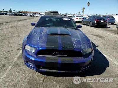 Zdjęcie 13 z 13 samochodu: 2013 FORD MUSTANG VIN:1ZVBP8EM6D5279605 - miniatura