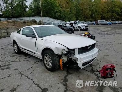 Zdjęcie 13 z 14 samochodu: 2009 FORD MUSTANG VIN:1ZVHT80N995122020 - miniatura