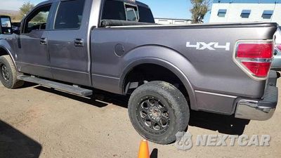 Zdjęcie 13 z 14 samochodu: 2014 FORD F150 SUPERCREW VIN:1FTFW1EF5EKF83611 - miniatura