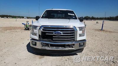 Zdjęcie 13 z 15 samochodu: 2017 FORD F150 SUPERCREW VIN:1FTEW1CP6HKD82845 - miniatura