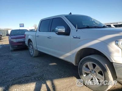 Zdjęcie 13 z 15 samochodu: 2019 FORD F150 SUPERCREW VIN:1FTEW1C5XKFB25007 - miniatura