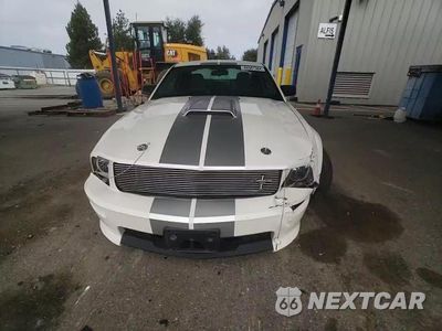 Zdjęcie 10 z 14 samochodu: 2007 FORD MUSTANG GT VIN:1ZVHT82H275310091 - miniatura