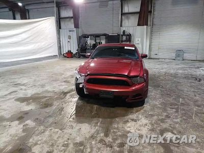 Zdjęcie 11 z 15 samochodu: 2014 FORD MUSTANG VIN:1ZVBP8AM9E5286054 - miniatura