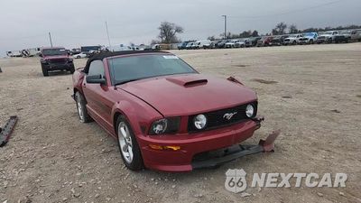 Zdjęcie 14 z 15 samochodu: 2008 FORD MUSTANG GT VIN:1ZVHT85HX85151057 - miniatura