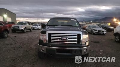 Zdjęcie 13 z 14 samochodu: 2012 FORD F150 SUPERCREW VIN:1FTFW1ET8CFA32147 - miniatura