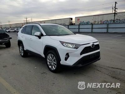 Zdjęcie 13 z 15 samochodu: 2019 TOYOTA RAV4 XLE PREMIUM VIN:JTMA1RFV3KD034292 - miniatura