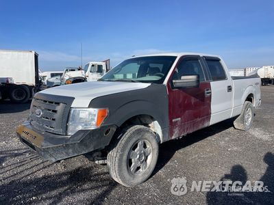 2013 Ford F-150 2013 Ford F-150 XLT 4x4 Crew Cab Pickup (Inoperable) 1FTFW1EFXDFB11427 - główne zdjęcie licytacji z USA - miniatura