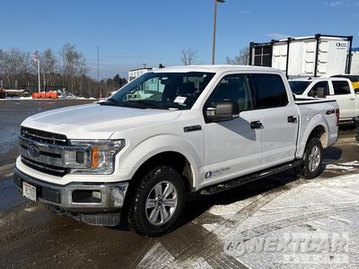 2020 Ford F-150 2020 Ford F-150 XLT 4x4 Crew Cab Pickup 1FTEW1EP4LKE45866 - główne zdjęcie licytacji z USA - miniatura