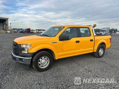 2017 Ford F-150 2017 Ford F-150 XL 4x2 Crew Cab Pickup 1FTEW1CF1HKD34919 - główne zdjęcie licytacji z USA - miniatura