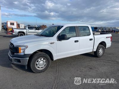 2020 Ford F-150 2020 Ford F-150 XL 4x4 Crew Cab Pickup 1FTEW1E56LKD47713 - główne zdjęcie licytacji z USA - miniatura