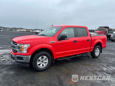2019 Ford F-150 2019 Ford F-150 XLT 4x4 Crew Cab Pickup 1FTEW1E56KFD43328 - główne zdjęcie licytacji z USA - miniatura