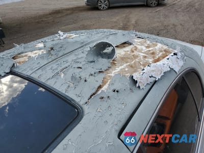Zdjęcie 17 z 20 samochodu: 2007 LINCOLN TOWN CAR EXECUTIVE VIN:1L1FM88W97Y608114 - miniatura