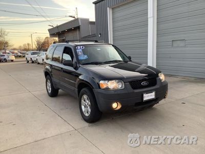 2007 FORD ESCAPE XLT 1FMYU03Z67KA61137 - główne zdjęcie licytacji z USA - miniatura