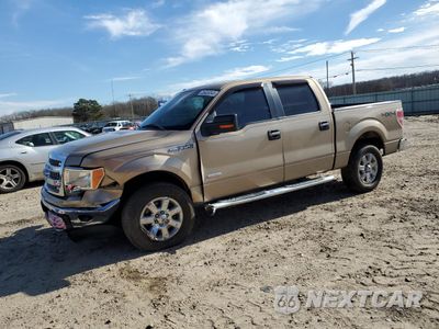 2013 FORD F150 SUPERCREW 1FTFW1ET3DKE09833 - główne zdjęcie licytacji z USA - miniatura