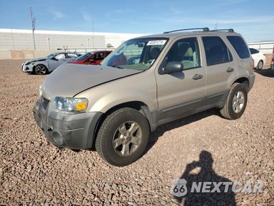 2007 FORD ESCAPE XLT 1FMCU03Z47KA29362 - główne zdjęcie licytacji z USA - miniatura
