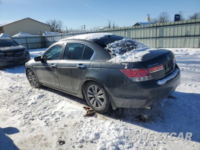 Drugie zdjęcie samochodu z przodu: 2011 HONDA ACCORD EXL VIN:5KBCP3F88BB001815 - miniatura