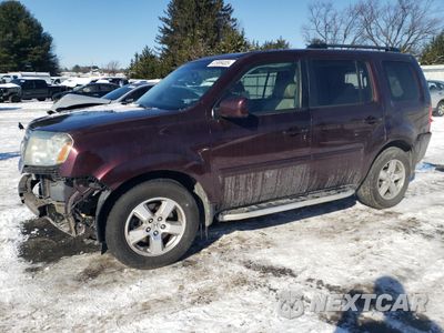 2011 HONDA PILOT EXL 5FNYF4H59BB097003 - główne zdjęcie licytacji z USA - miniatura